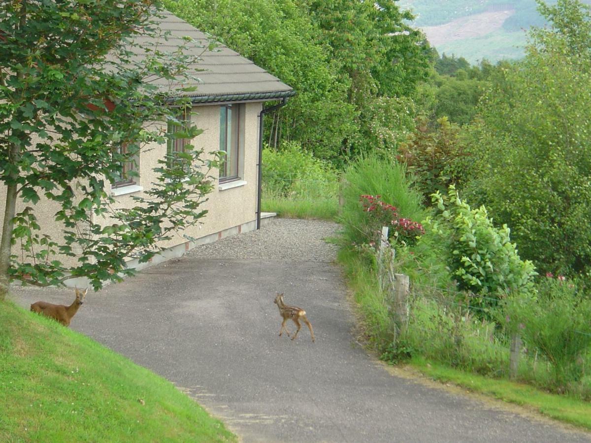 Achmony Holidays Villa Drumnadrochit Buitenkant foto